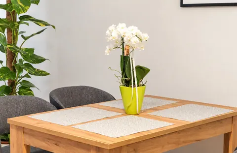 Essplatz mit Holztisch · CityFlat Wels
